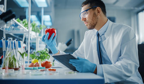 PROTEGENDO SEU NEGÓCIO COM UM SISTEMA DE GESTÃO DE SEGURANÇA ALIMENTAR