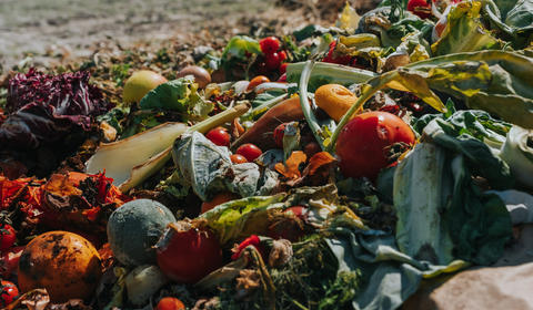 COMO REDUZIR O DESPERDÍCIO ALIMENTAR EM TODA A CADEIA DE VALOR