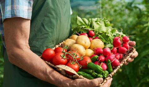 Agricultor segurando cesta com legumes