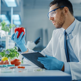 PROTEGENDO SEU NEGÓCIO COM UM SISTEMA DE GESTÃO DE SEGURANÇA ALIMENTAR
