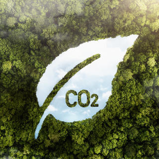 Imagem de uma floresta vista de cima com o símbolo ilustrativo de uma folha