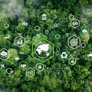 fundo de floresta com ícones sobre sustentabilidade na frente
