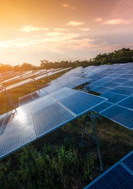 Imagem de fileiras de painéis de energia solar