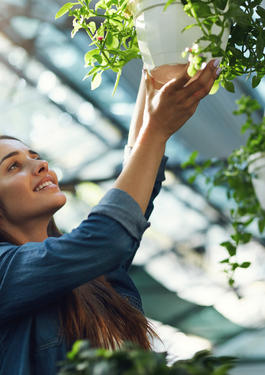 ETAPA 2 | REDUZIR E COMPENSAR