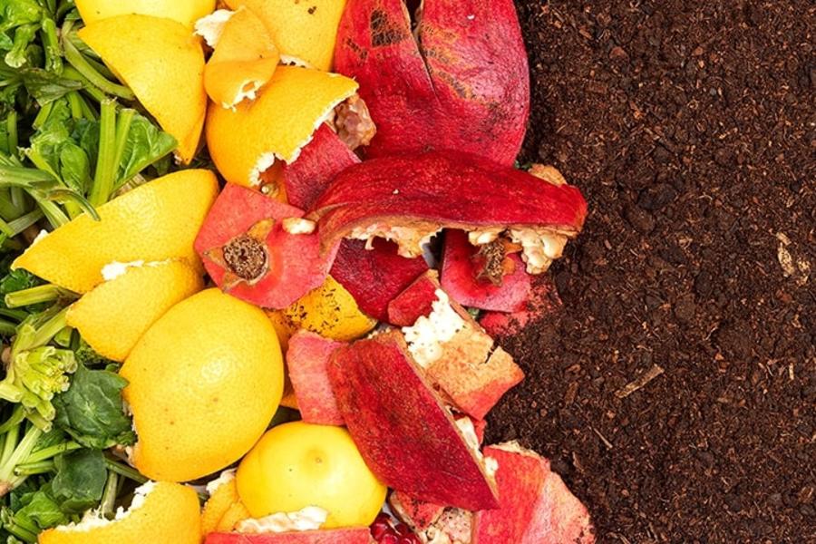 SISTEMA DE GESTÃO DO DESPERDÍCIO DE ALIMENTOS BUREAU VERITAS