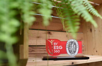 Patrus recebe Selo BV ESG 360